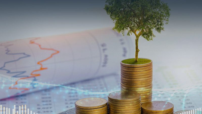 IPO咨询尽职调查周期：揭秘企业上市前的关键步骤